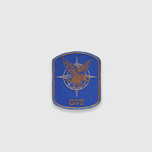 Патч Company Group CGT СПП