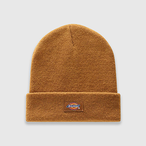 Шапка Dickies Gibsland | Brown