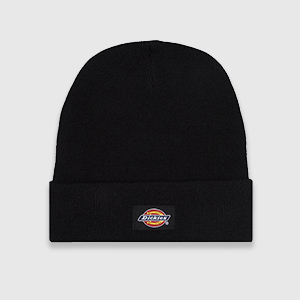 Шапка Dickies Gibsland | Black