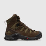 Черевики Salomon Quest Tracker GTX | Brown
