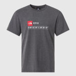 Футболка The North Face GPS Kyiv | Grey